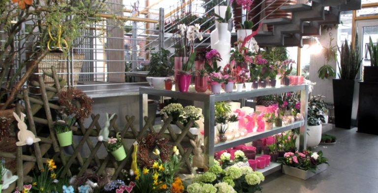 Gärtnerei Nürnberg Blumen Graf